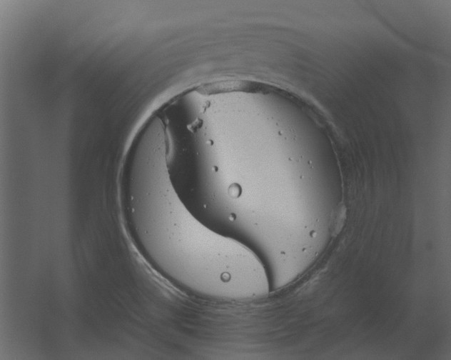 X0000067501514200604211711