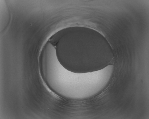 X0000067501515200604211711