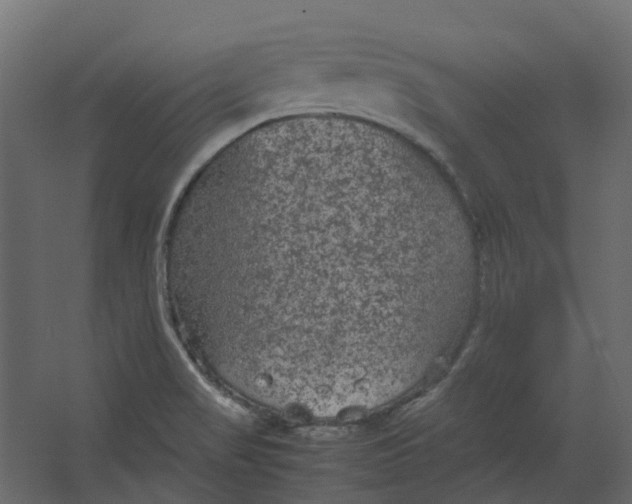 X0000067501517200604211711