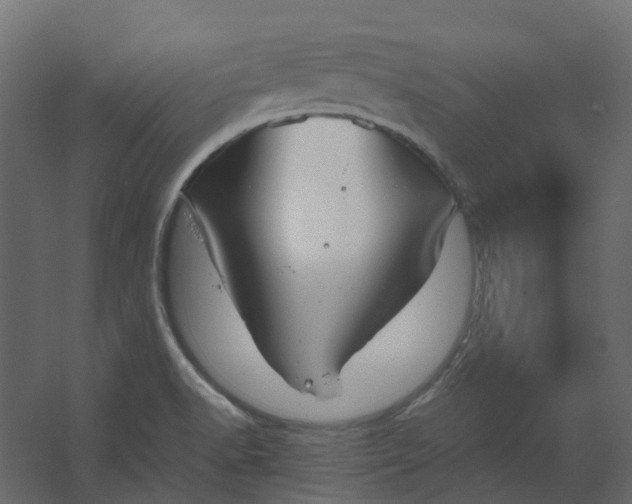 X0000067501518200604211711