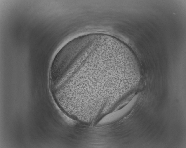 X0000067501520200604211711