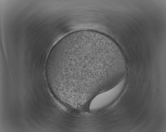 X0000067501521200604211711