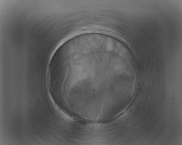 X0000067501522200604211712