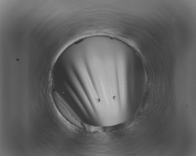 X0000067501524200604211712