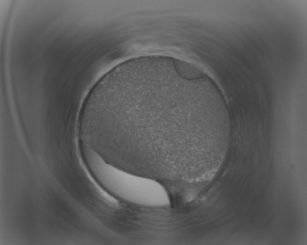 X0000067501525200604211712