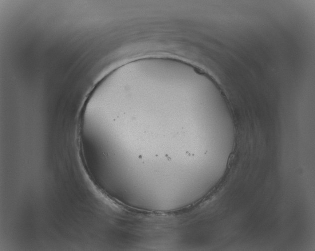 X0000067501526200604211712