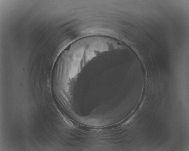 X0000067501529200604211712