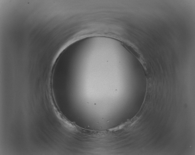 X0000067501530200604211712