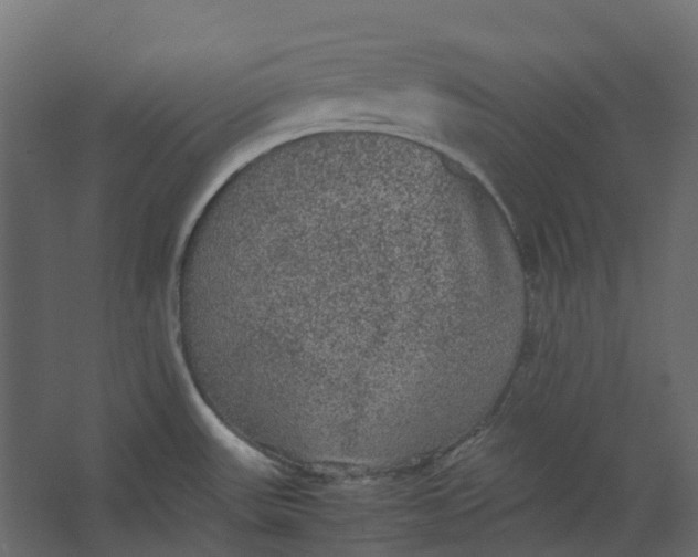 X0000067501531200604211712