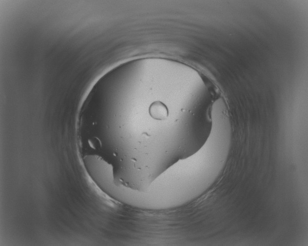 X0000067501532200604211712