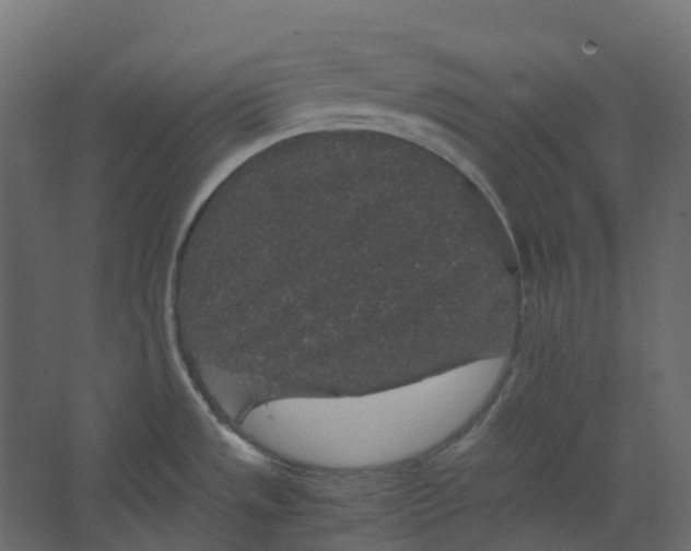 X0000067501533200604211712