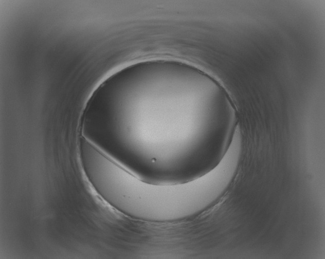 X0000067501534200604211712