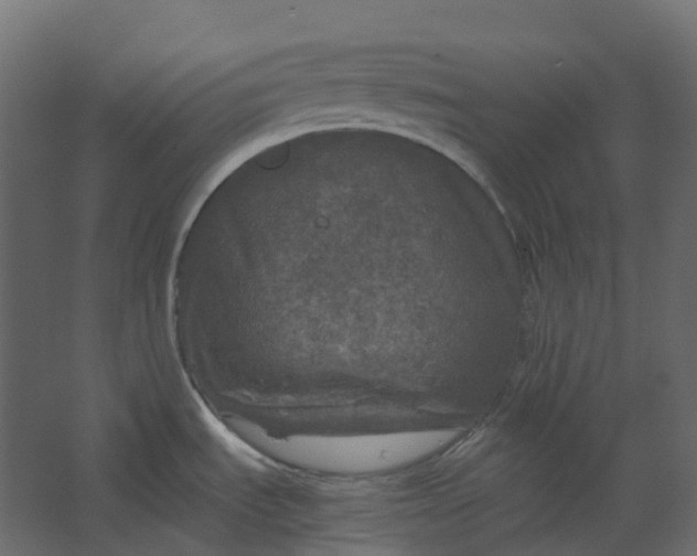 X0000067501535200604211712