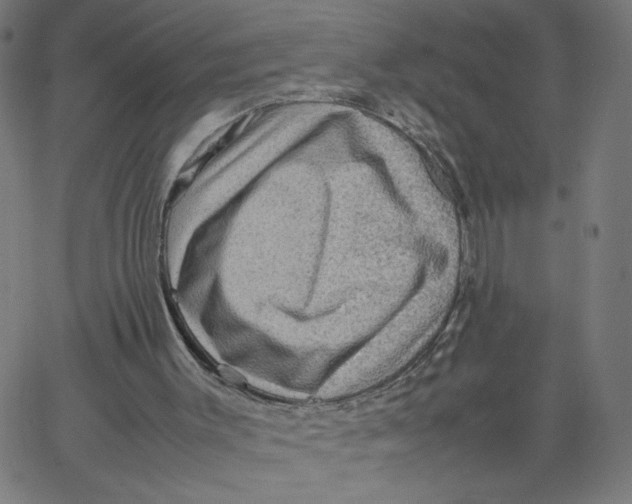 X0000067500003200604281554