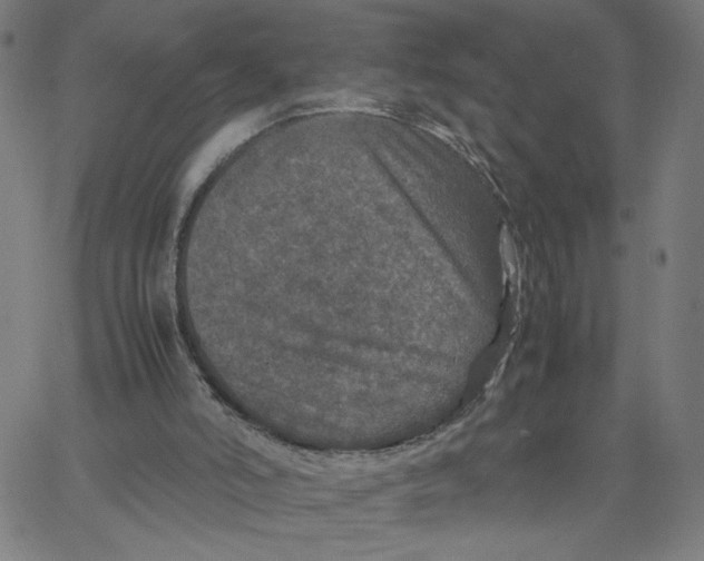 X0000067500006200604281554