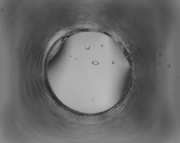 X0000067500008200604281554