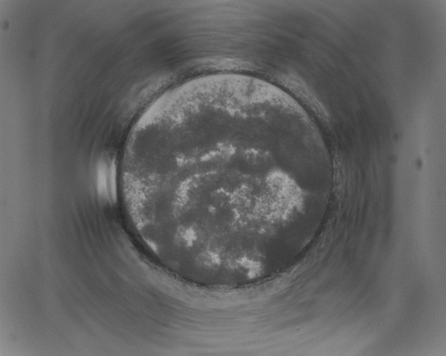 X0000067500014200604281554