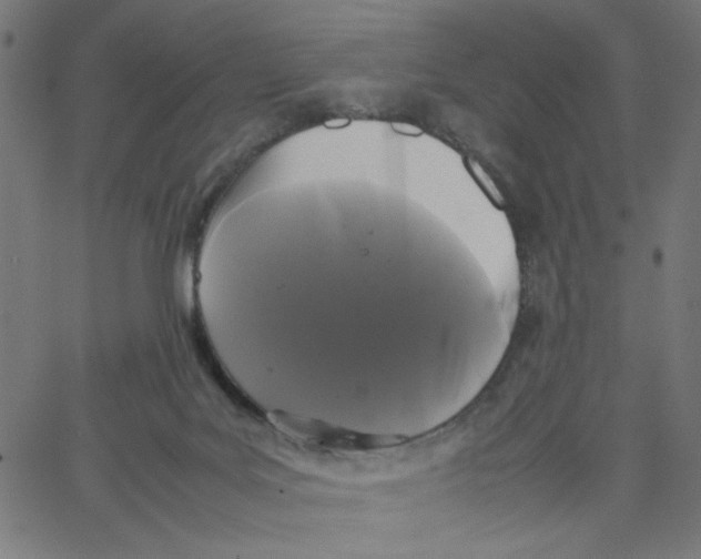 X0000067500027200604281554