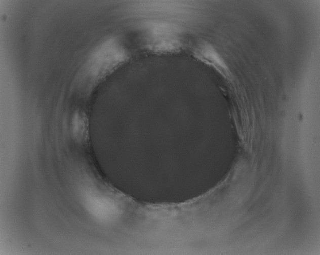 X0000067500029200604281554