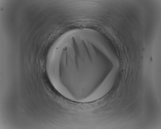 X0000067500031200604281554