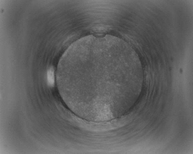 X0000067500042200604281554