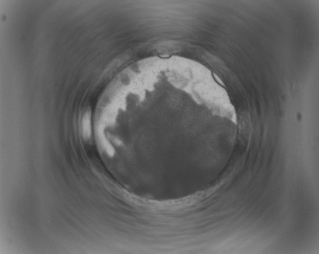 X0000067500046200604281554