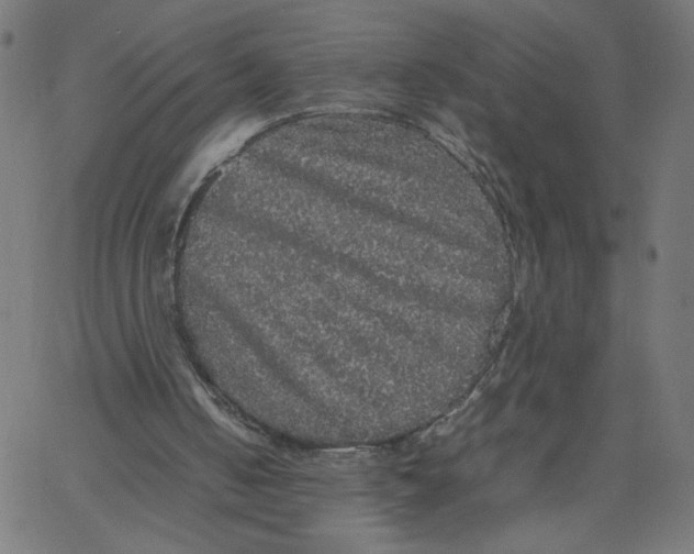 X0000067500050200604281553