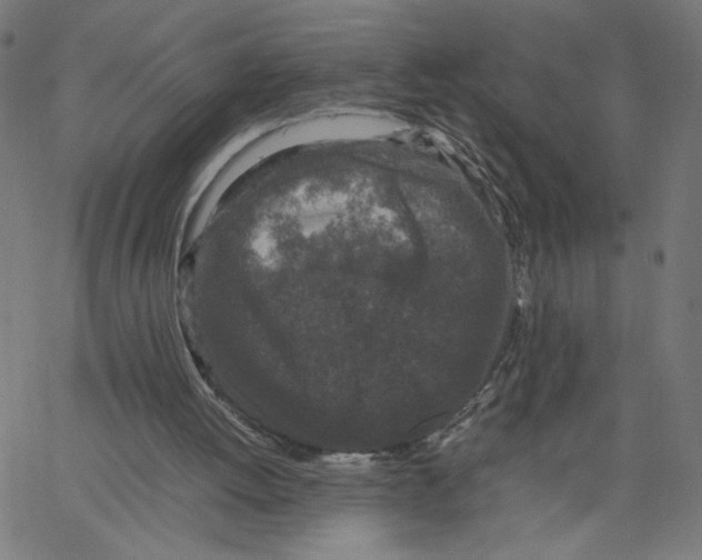 X0000067500052200604281553