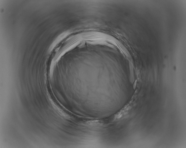 X0000067500054200604281553