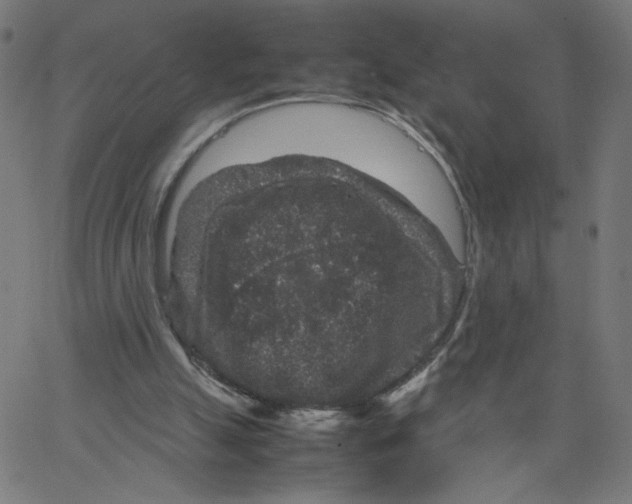 X0000067500055200604281553