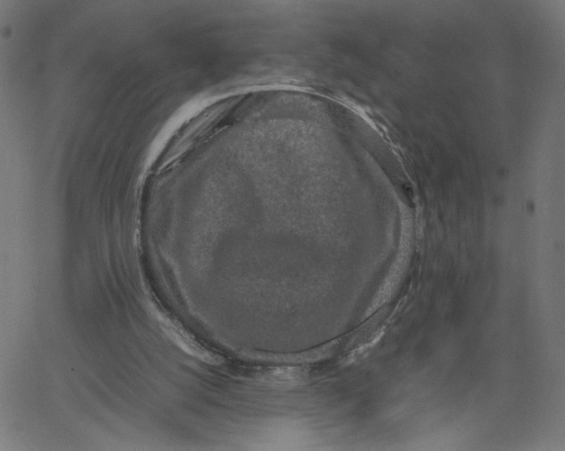 X0000067500056200604281553