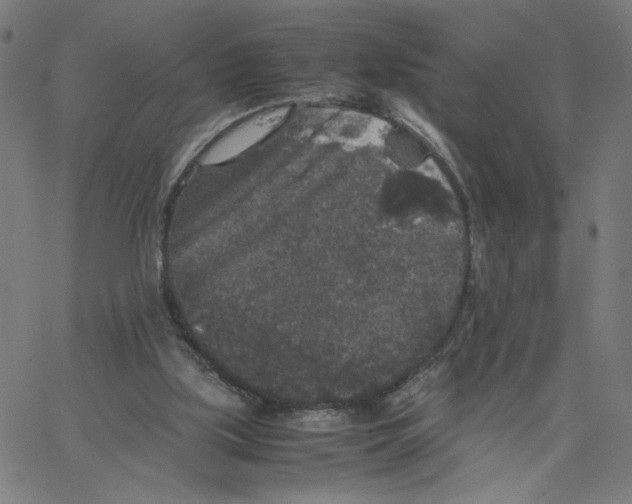 X0000067500059200604281553