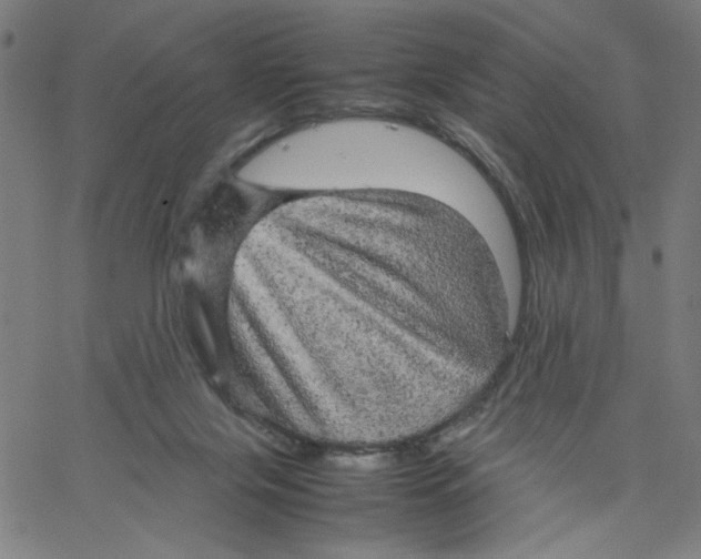 X0000067500071200604281553