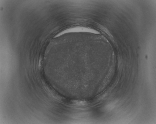 X0000067500073200604281553