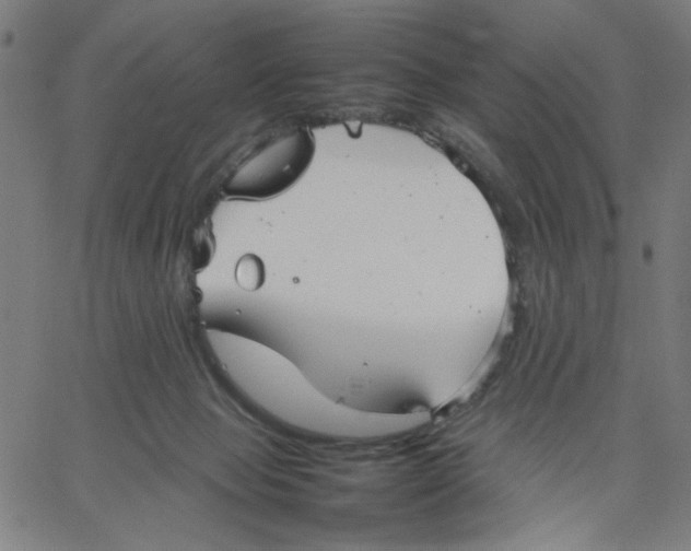 X0000067500077200604281553