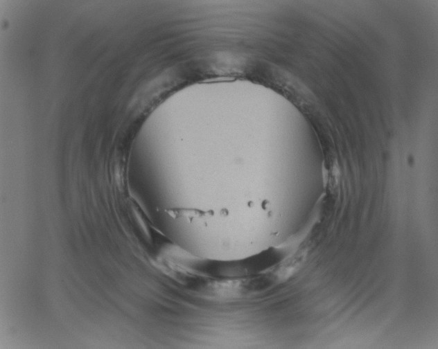 X0000067500084200604281554