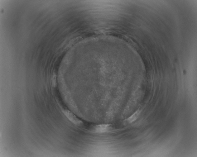 X0000067500090200604281554