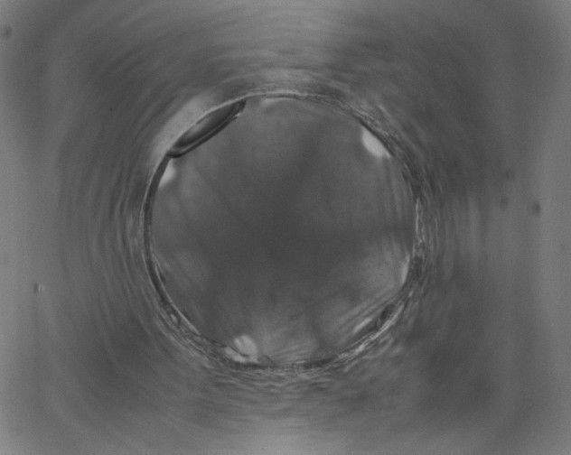 X0000067500099200604281553