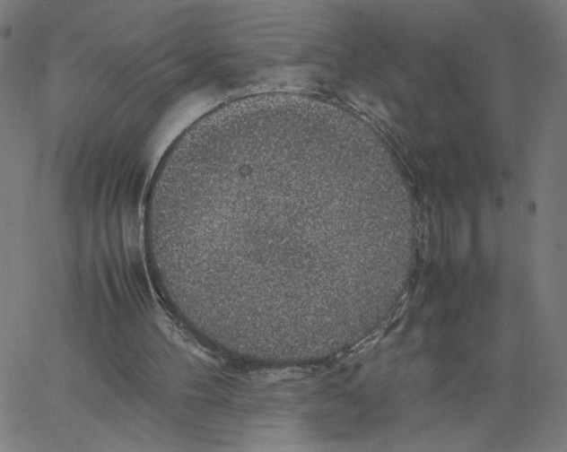 X0000067500100200604281553