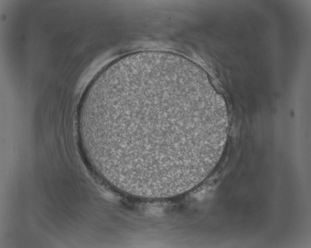 X0000067500103200604281553