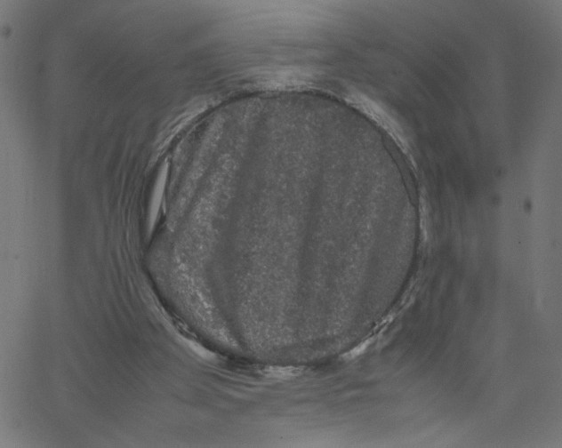 X0000067500105200604281553