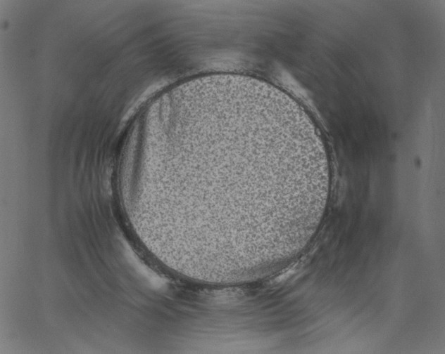 X0000067500106200604281553