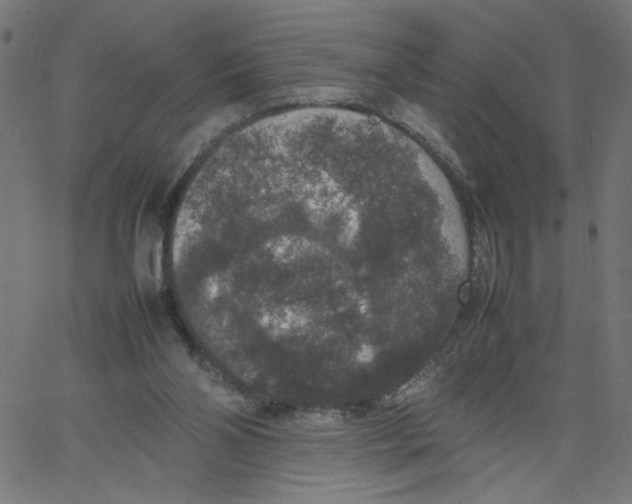 X0000067500110200604281553