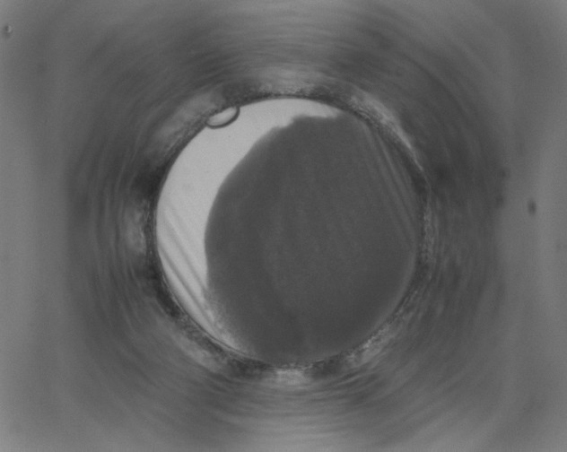 X0000067500114200604281553