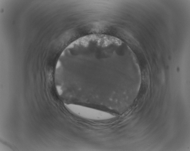 X0000067500127200604281552