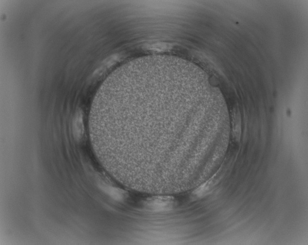 X0000067500128200604281552