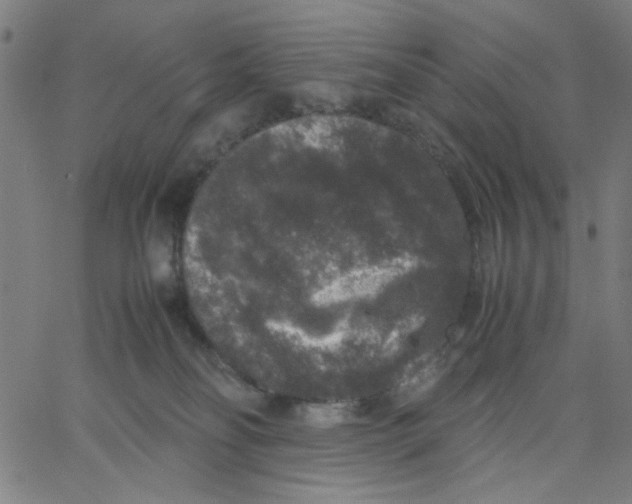 X0000067500134200604281552