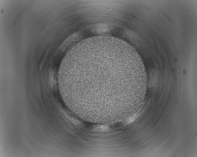 X0000067500140200604281552
