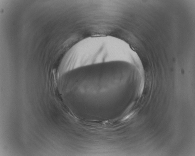 X0000067500143200604281552