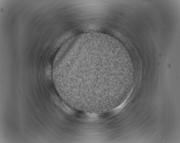 X0000067500144200604281552